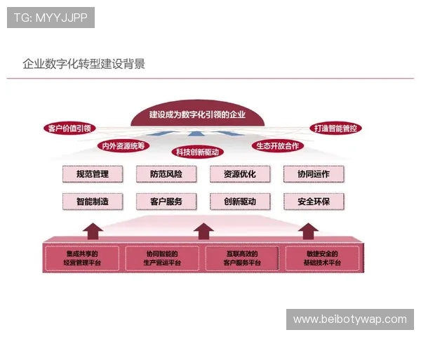 必赢旗舰平台助力企业数字化转型实现跨越式发展